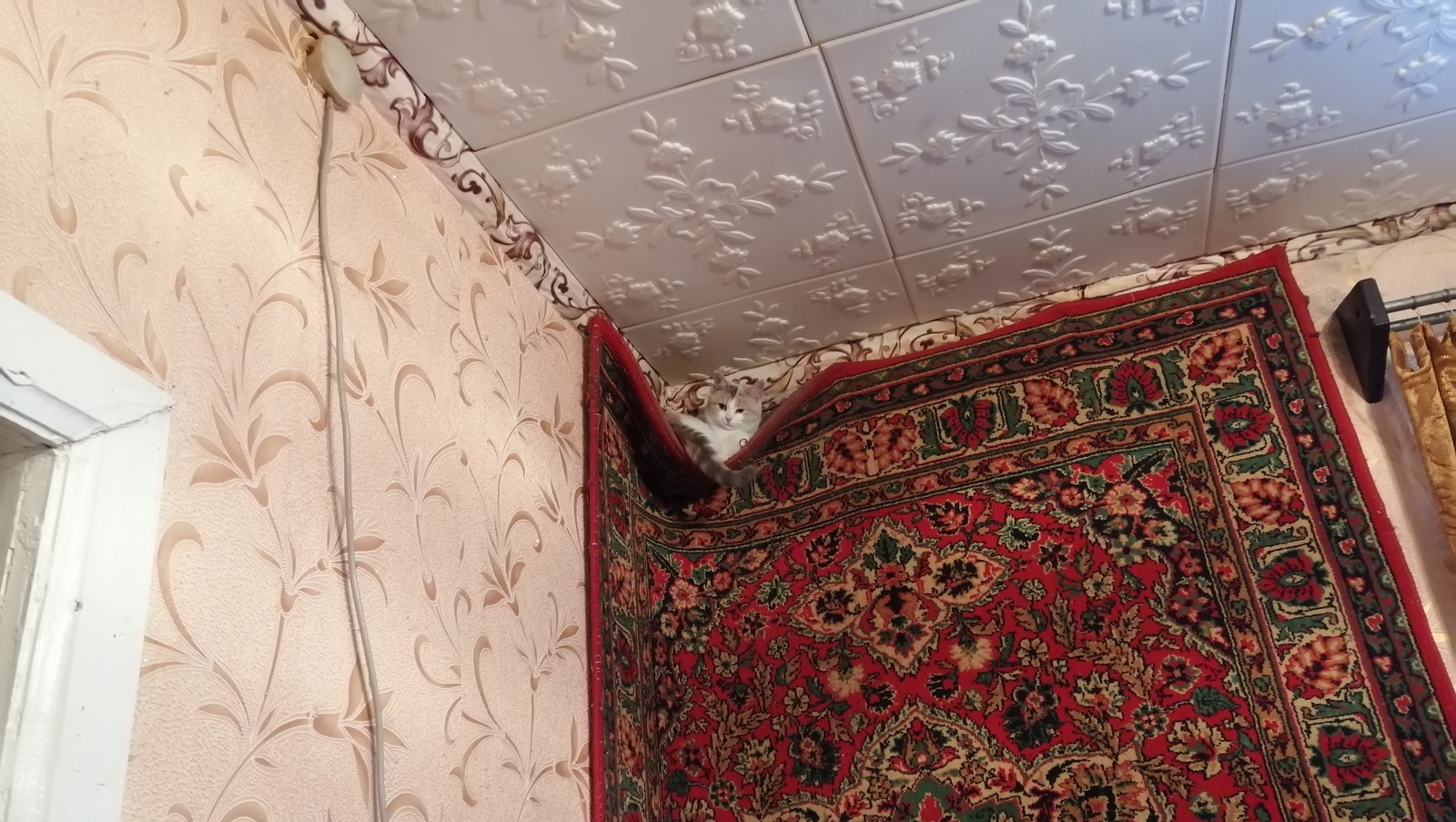 ���������