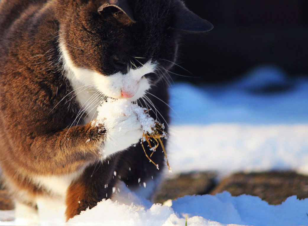 ���������