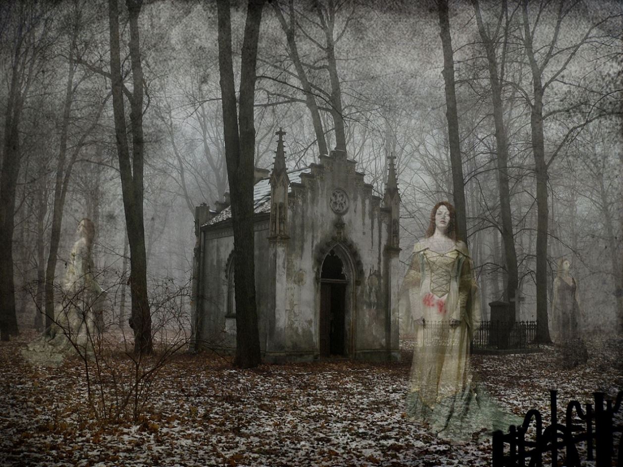 ���������