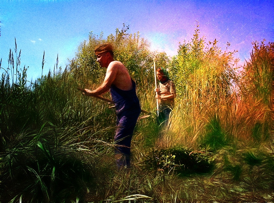 ���������