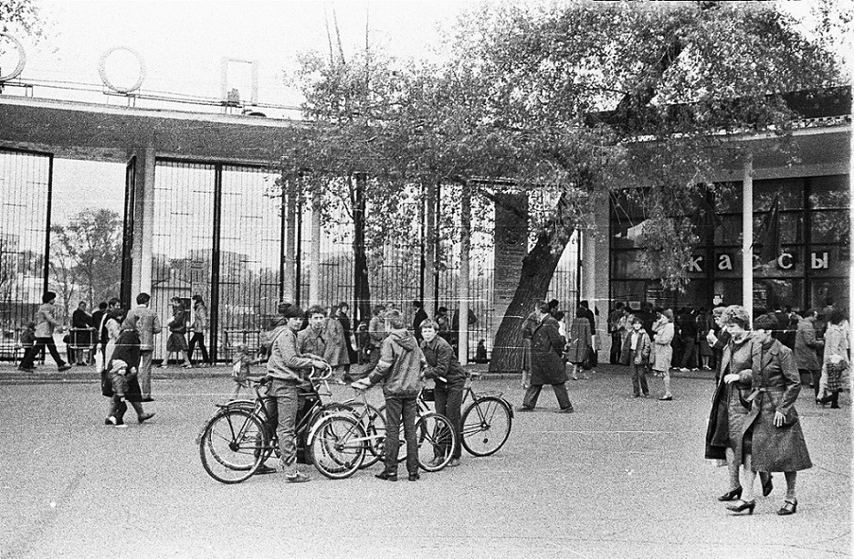 ���������