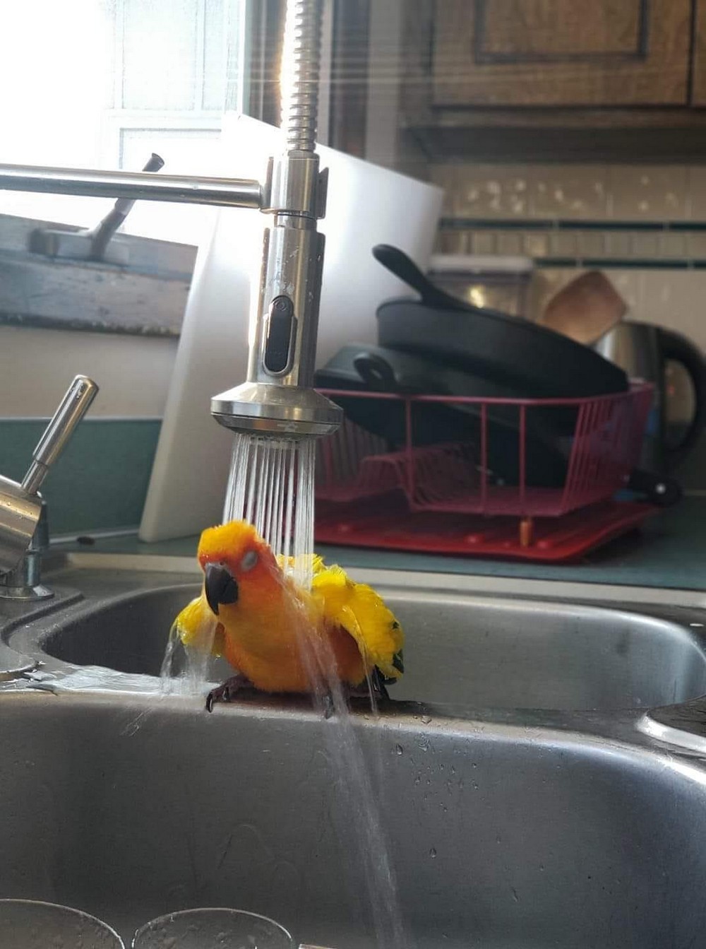 ���������