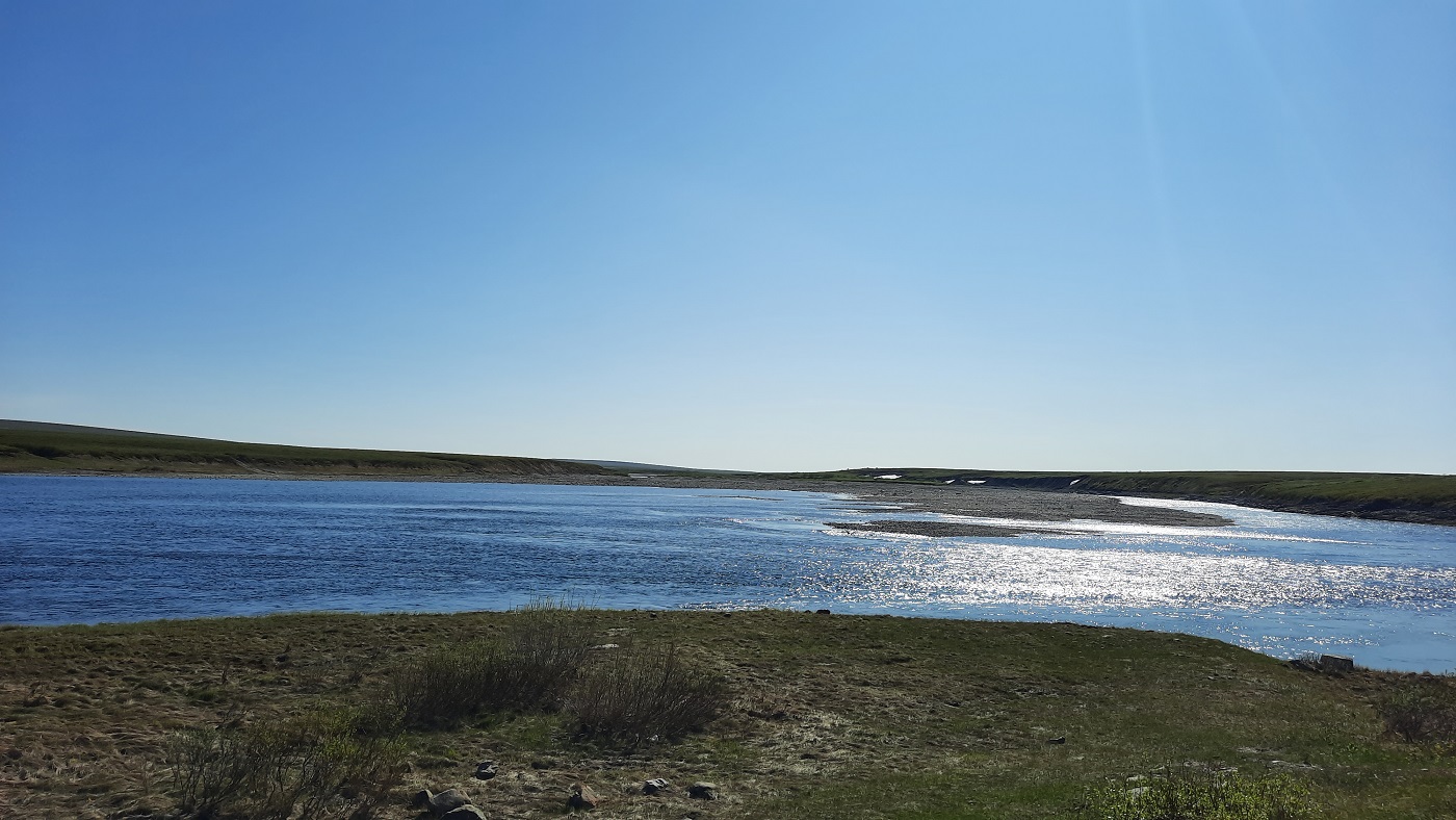 ���������