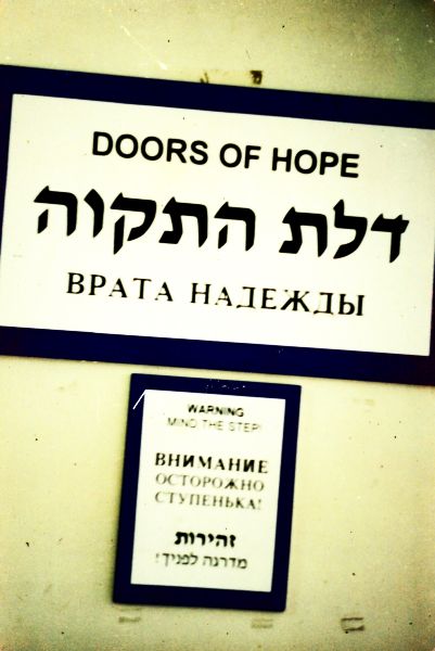 ���������