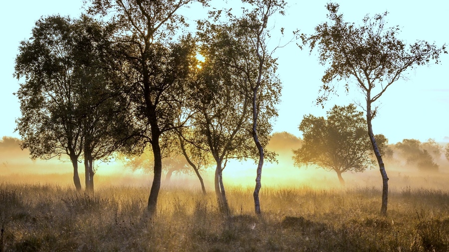 ���������