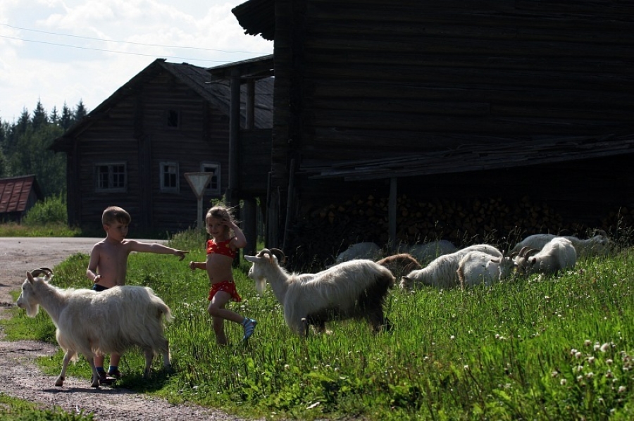 ���������