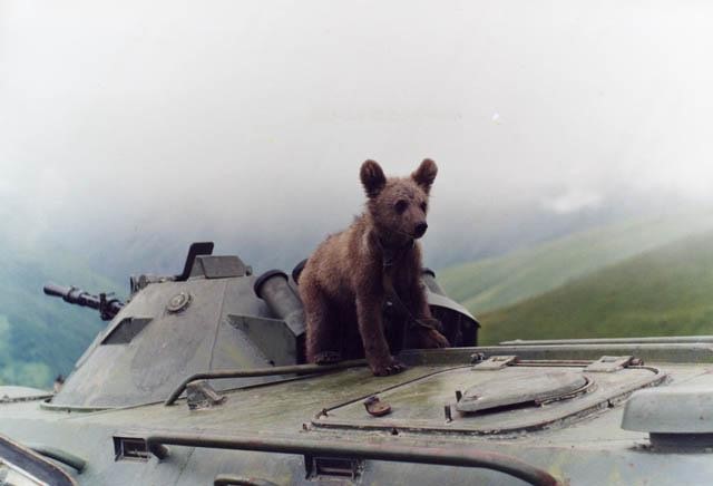 ���������