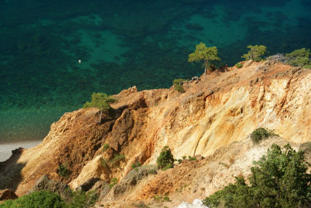 ���������