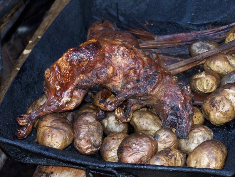 ���������