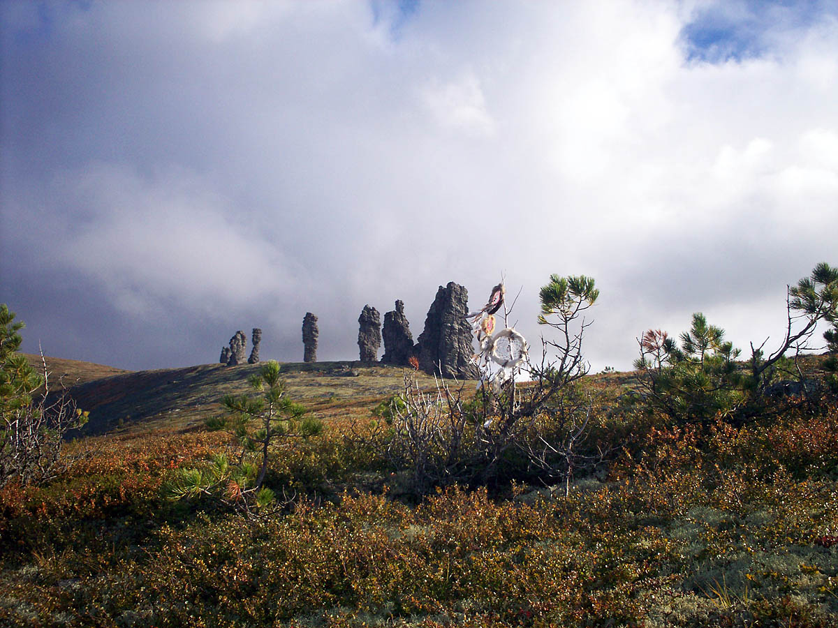 ���������