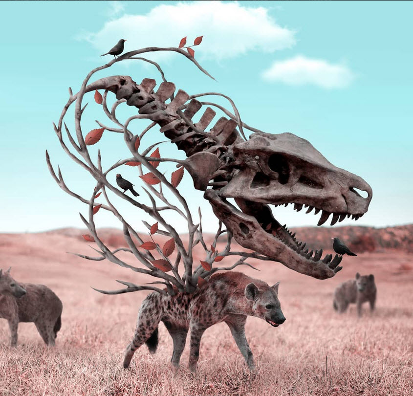 ���������