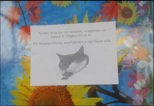 ���������