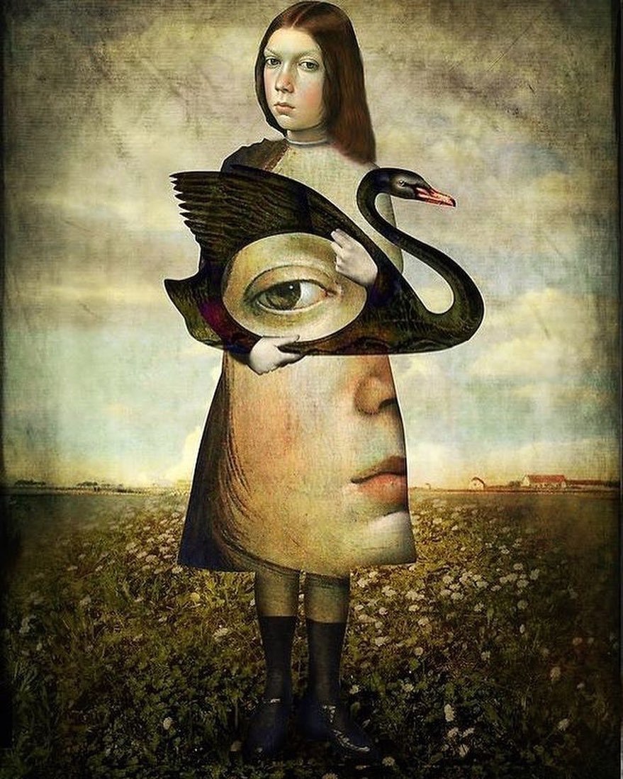 ���������