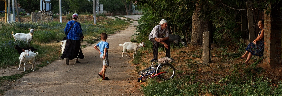 ���������