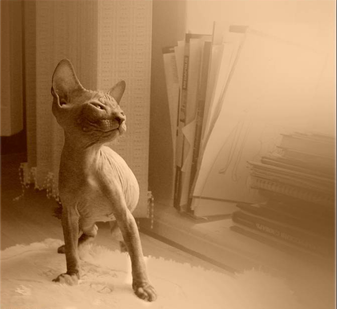 ���������