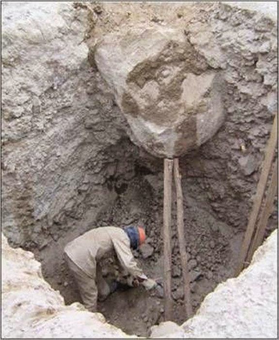 ���������