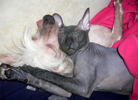 ���������