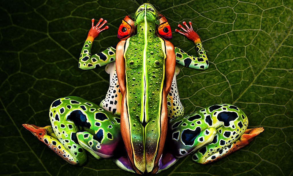 ���������