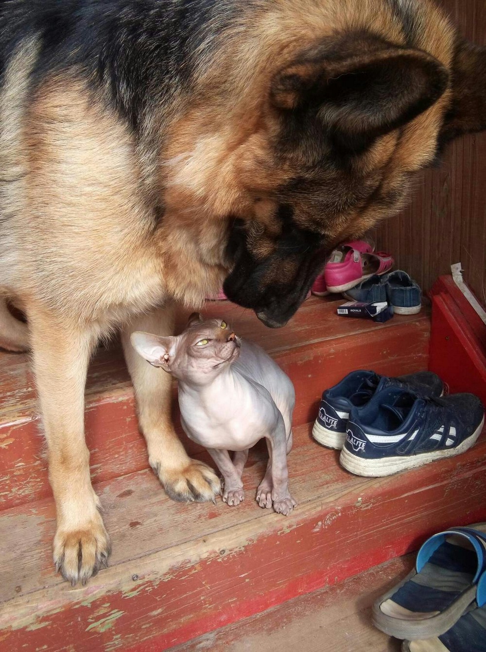 ���������