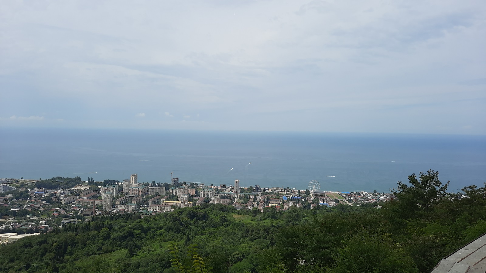 ���������