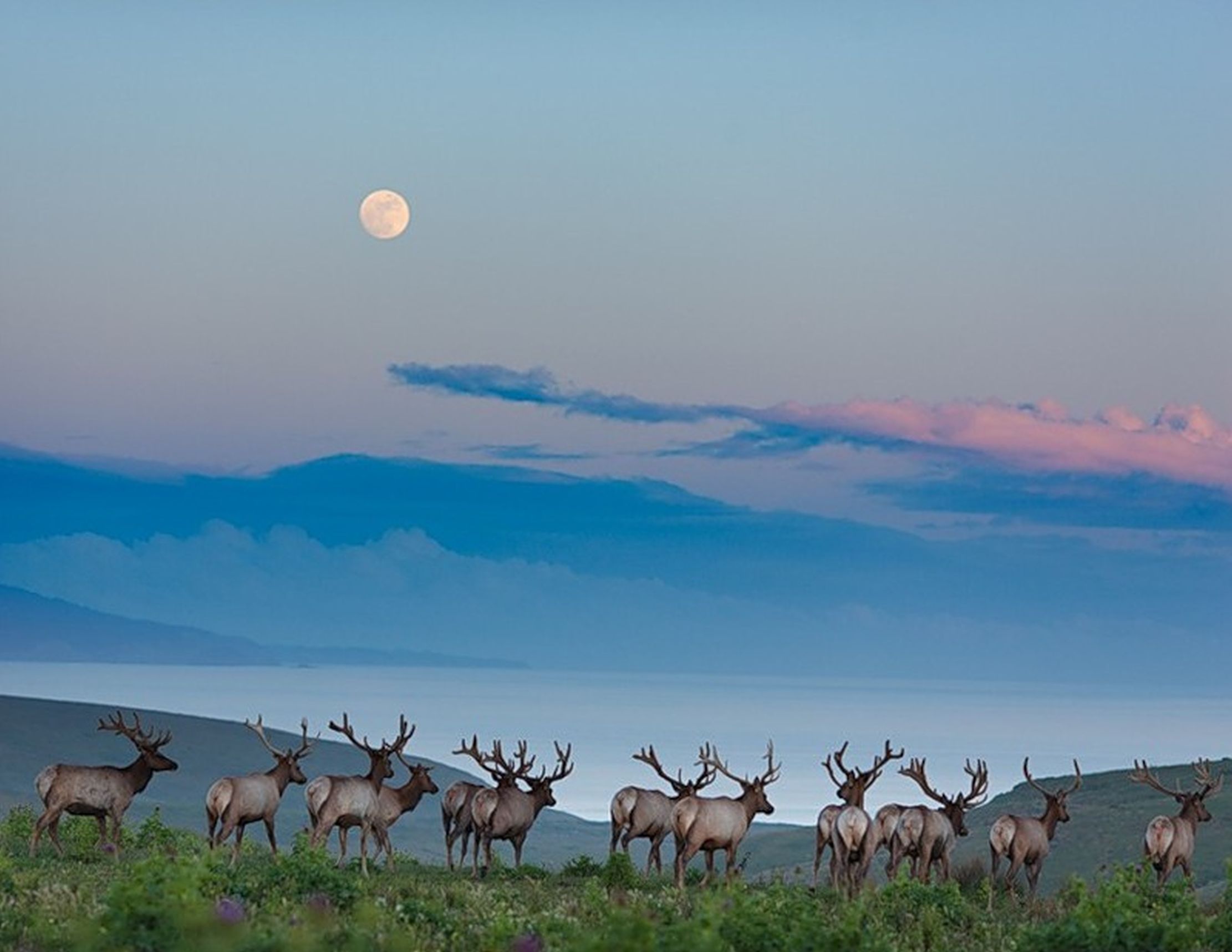 ���������