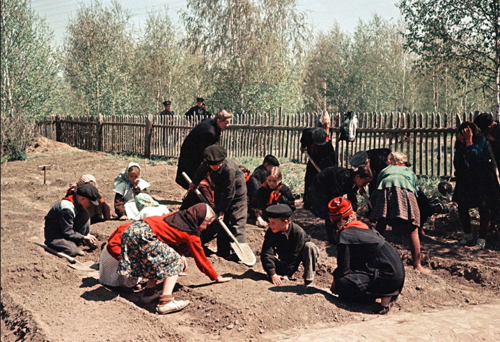 ���������