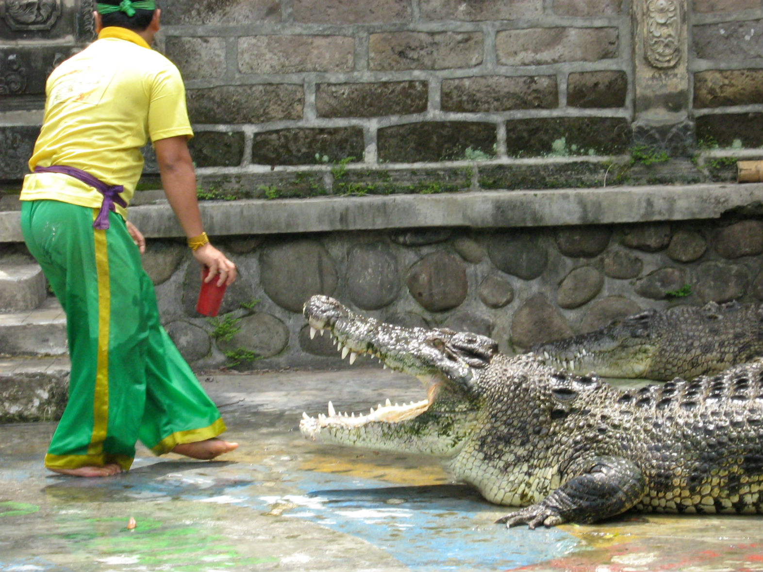 ���������