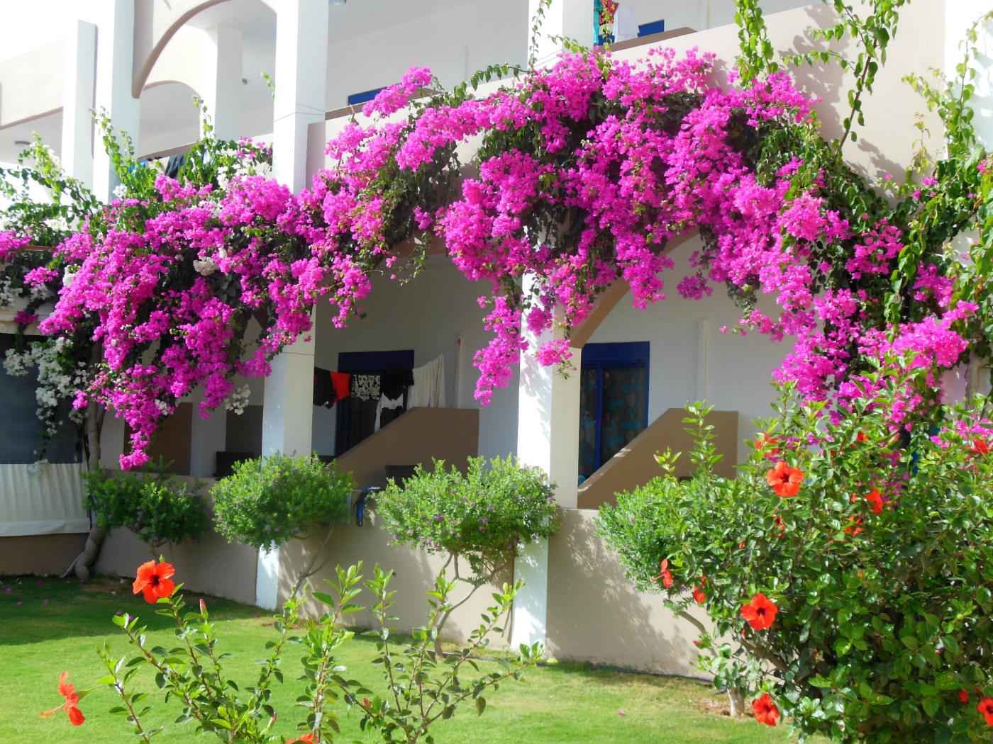 ���������