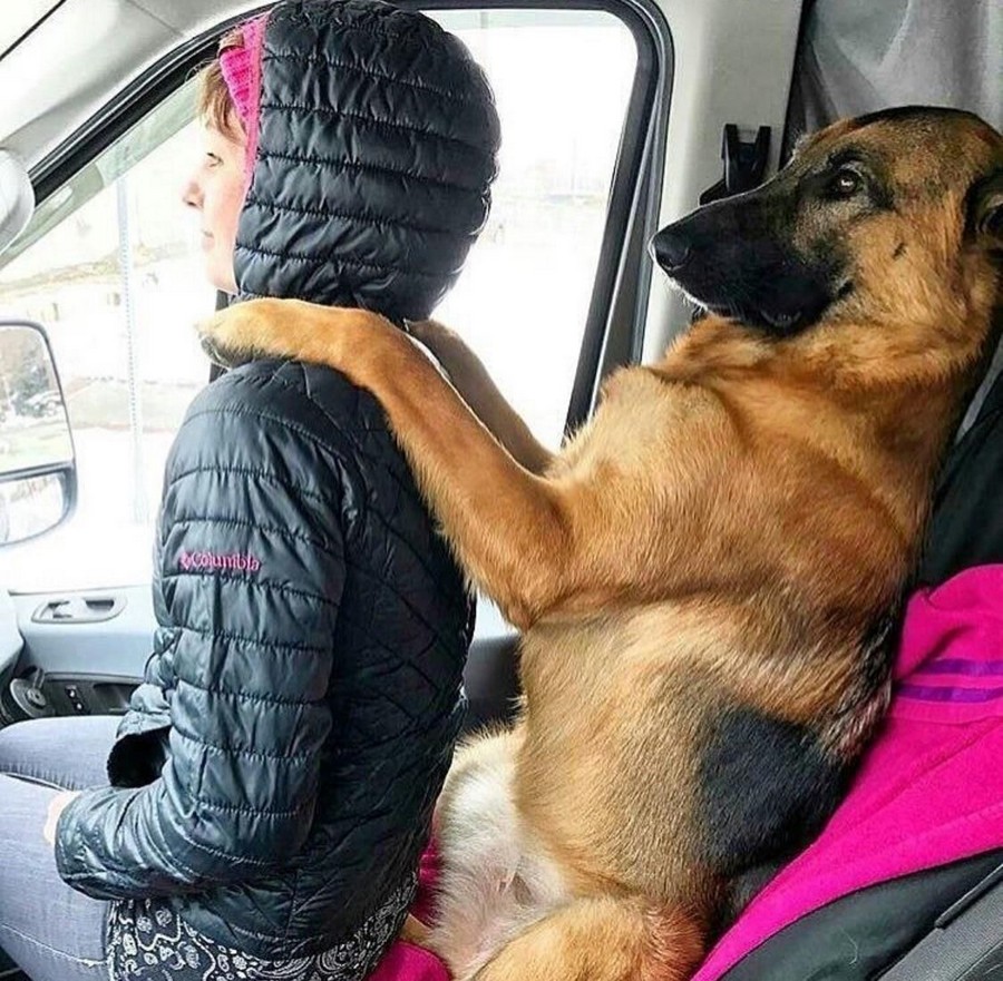 ���������