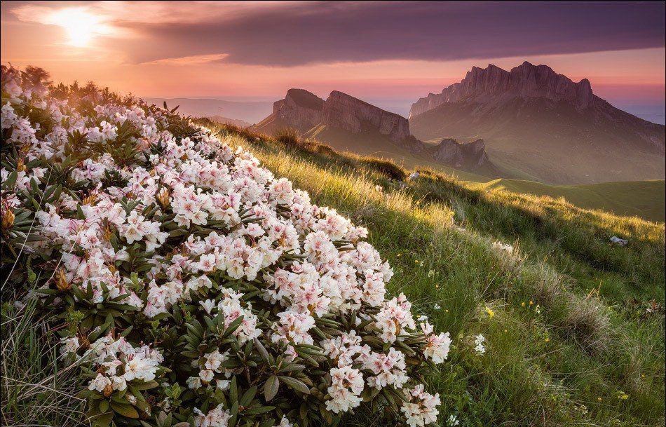 Увеличить Увеличить