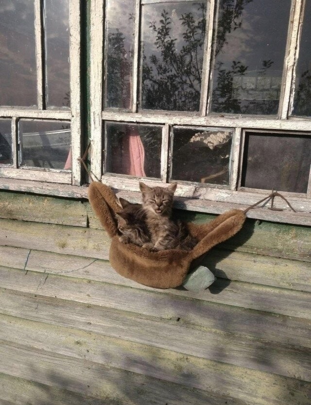 ���������