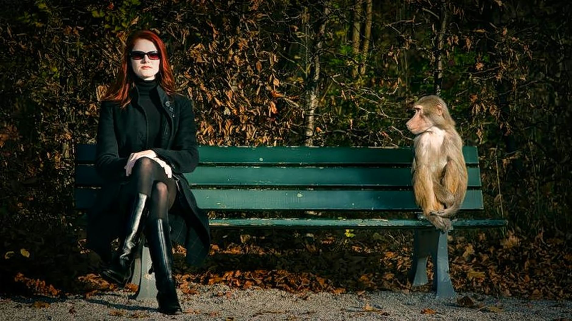 ���������