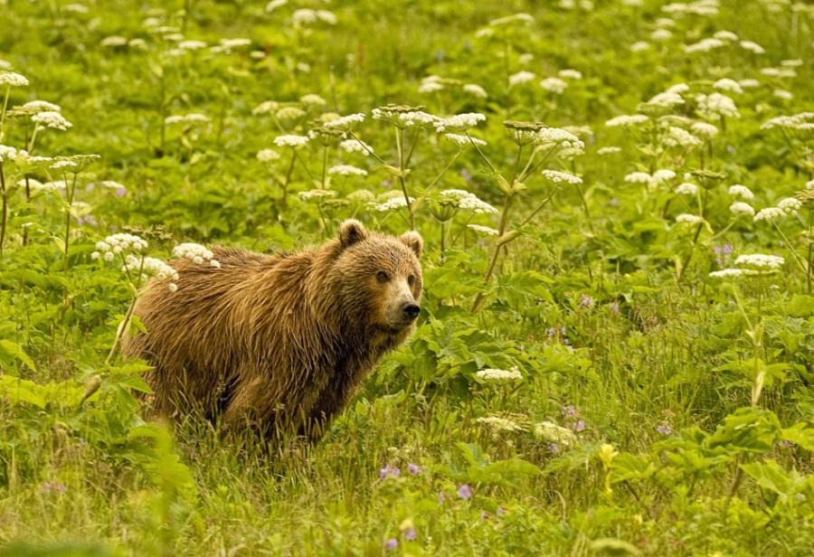 ���������