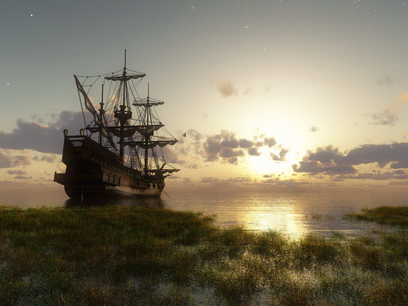 ���������