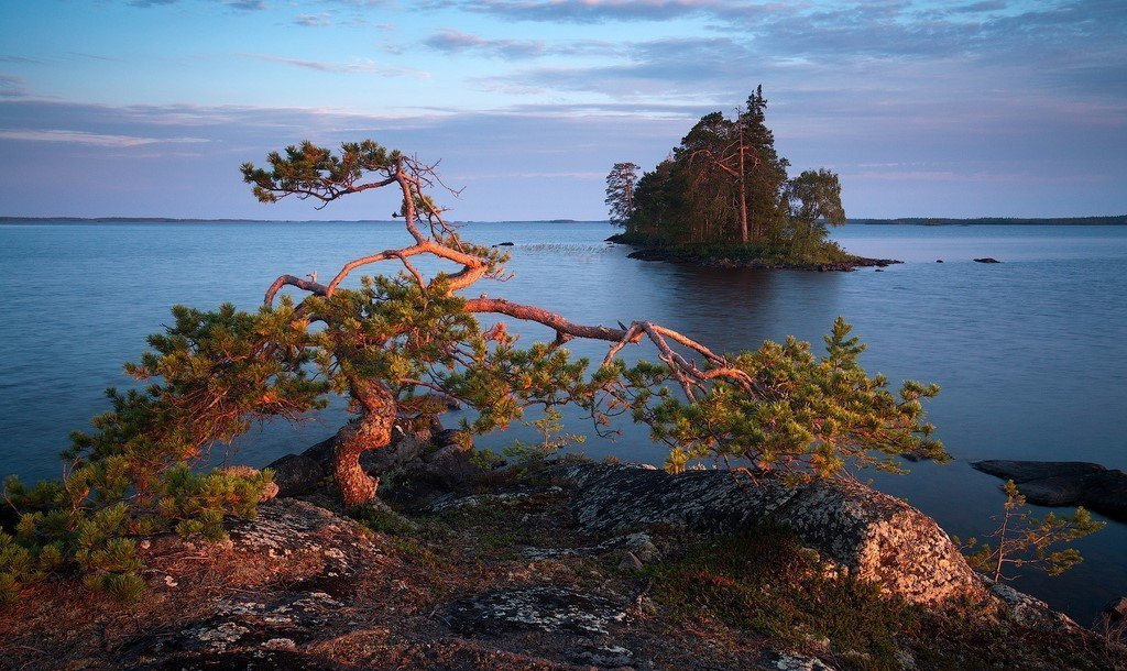 Увеличить Увеличить