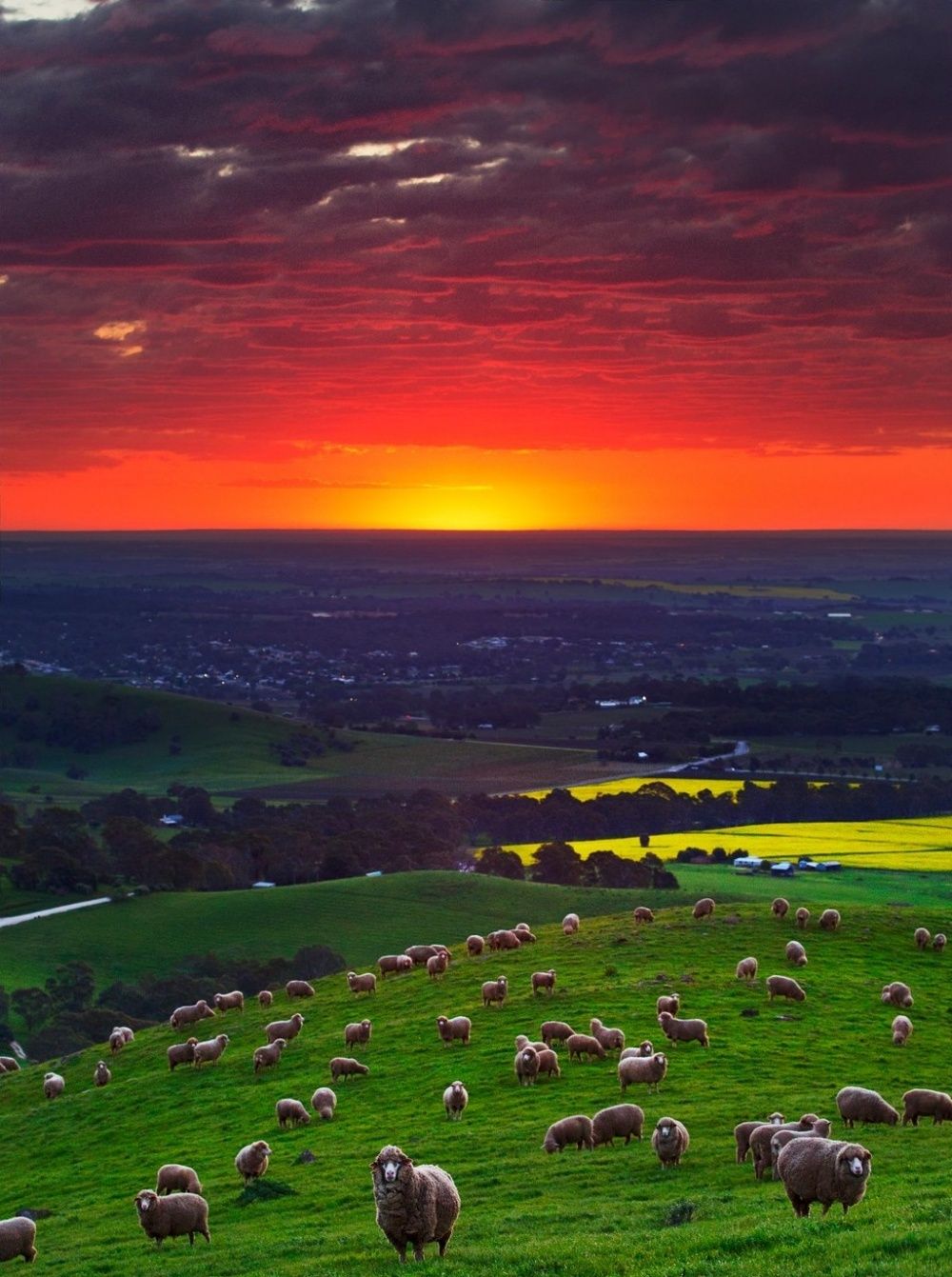 ���������