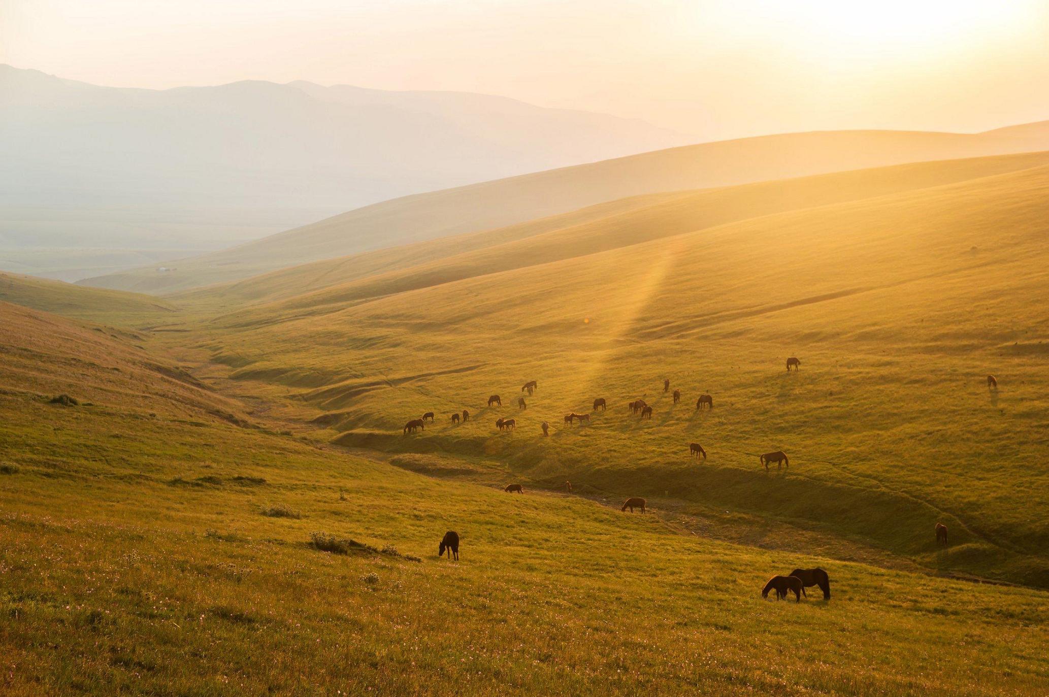 ���������