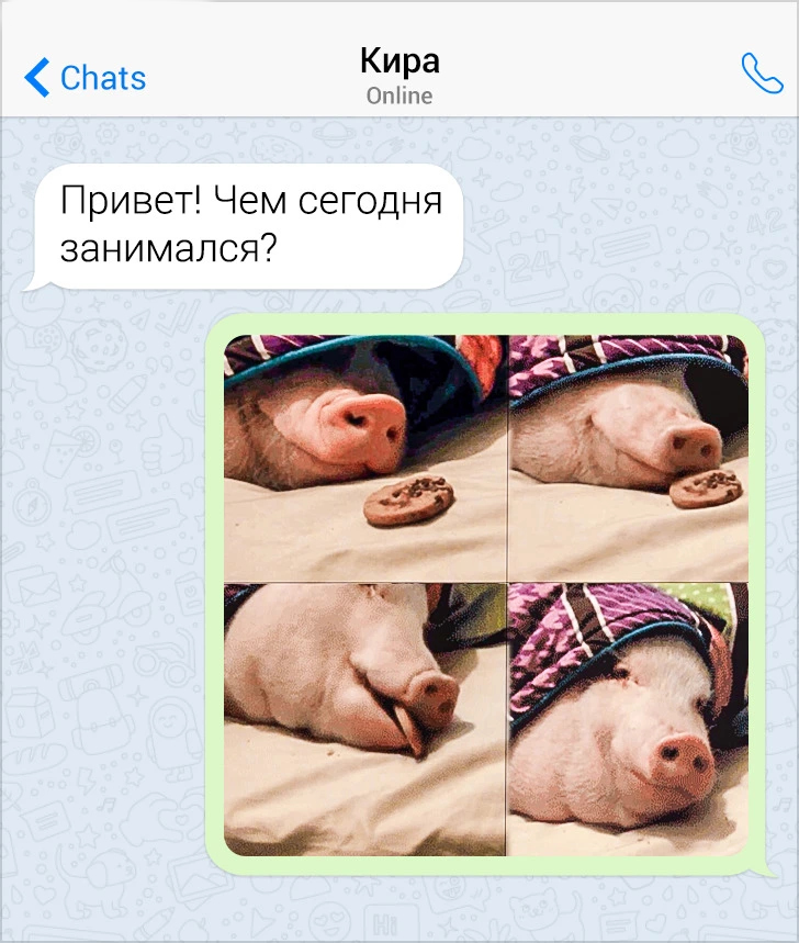 ���������