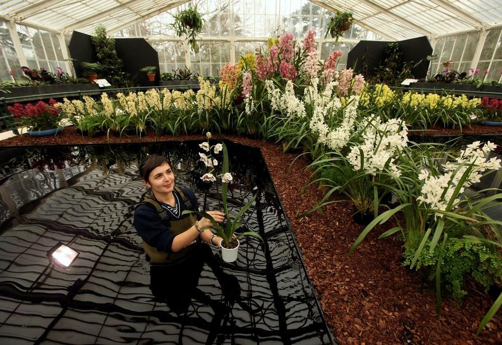 ���������