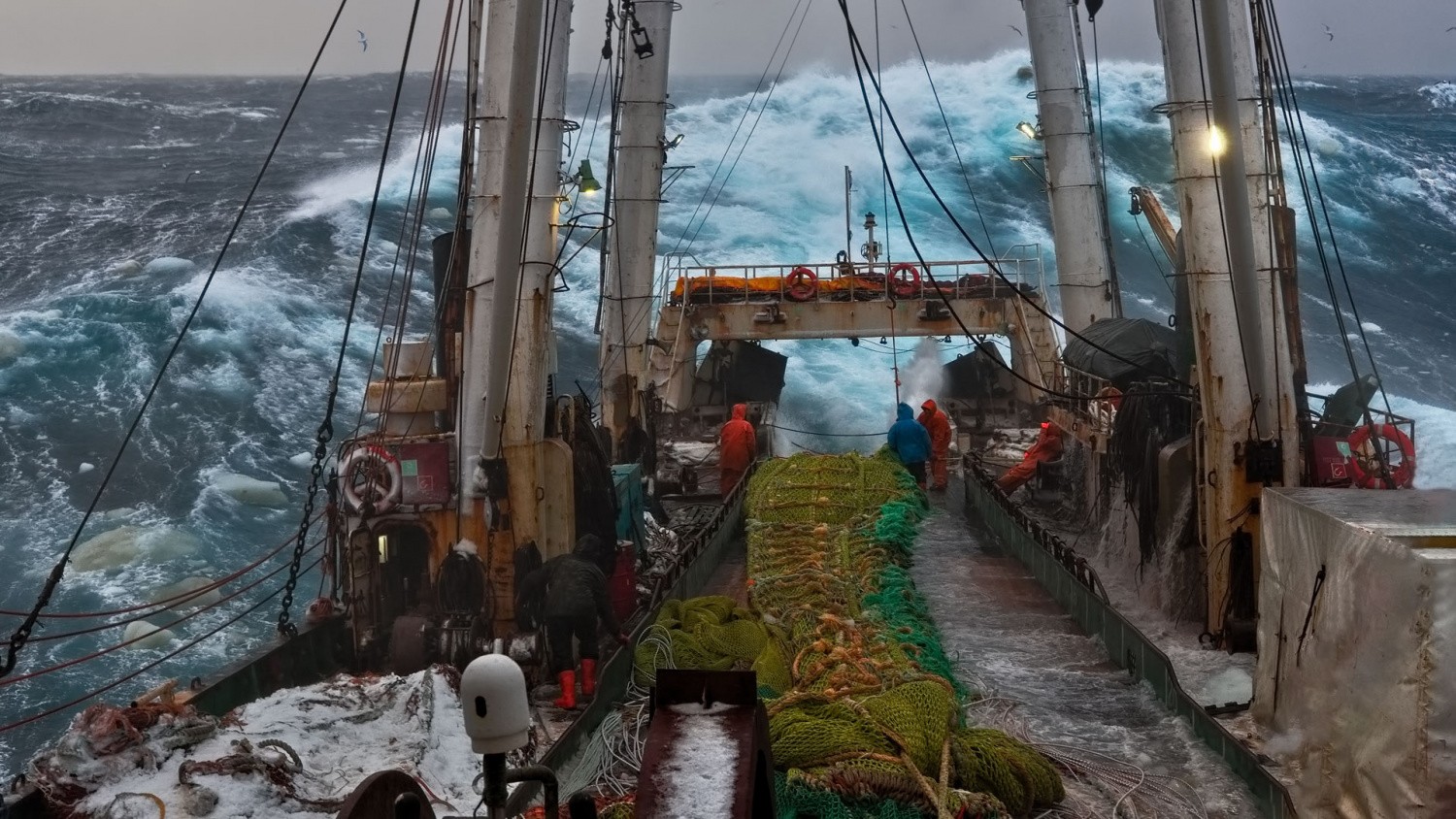 ���������