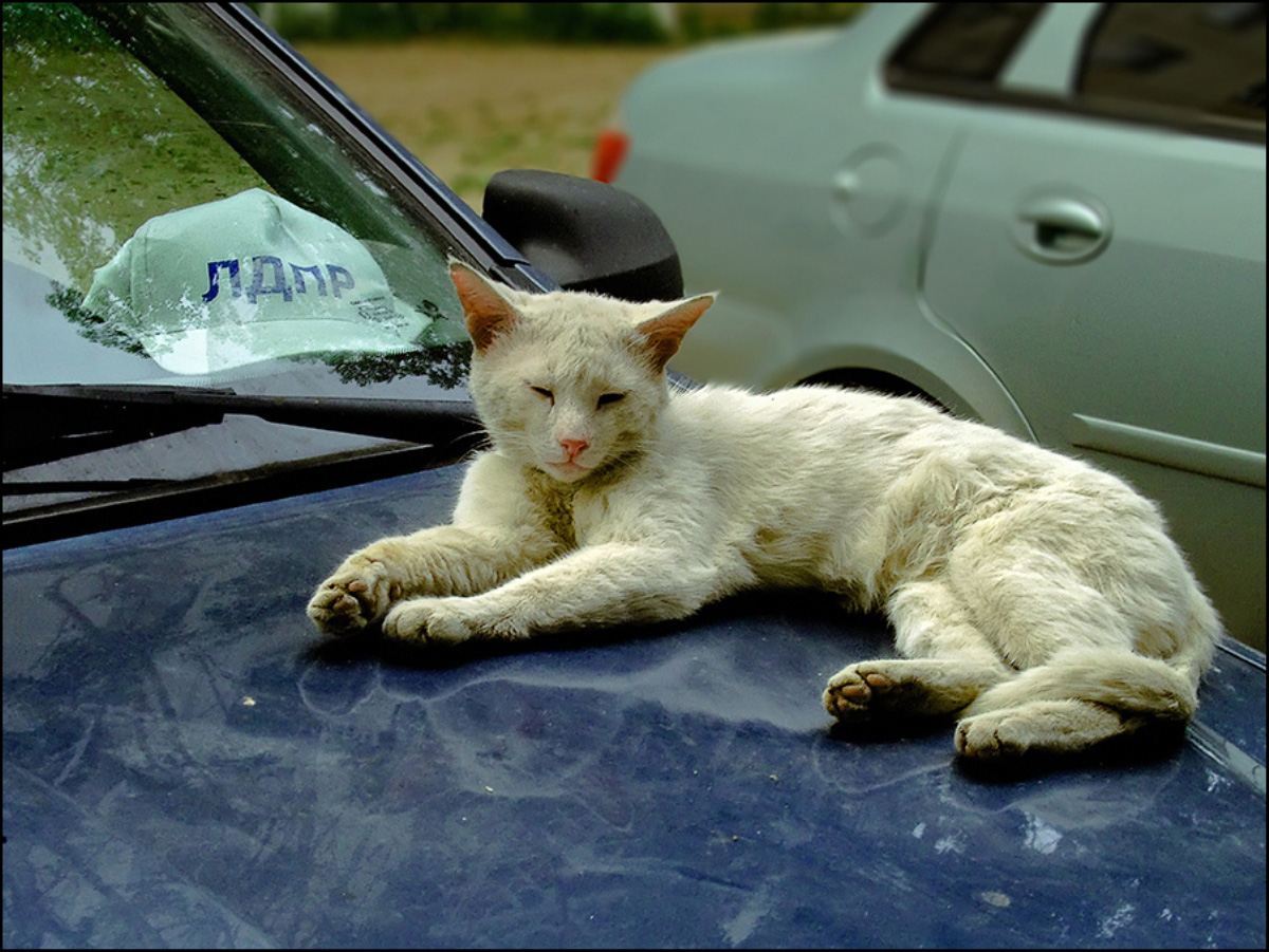 ���������