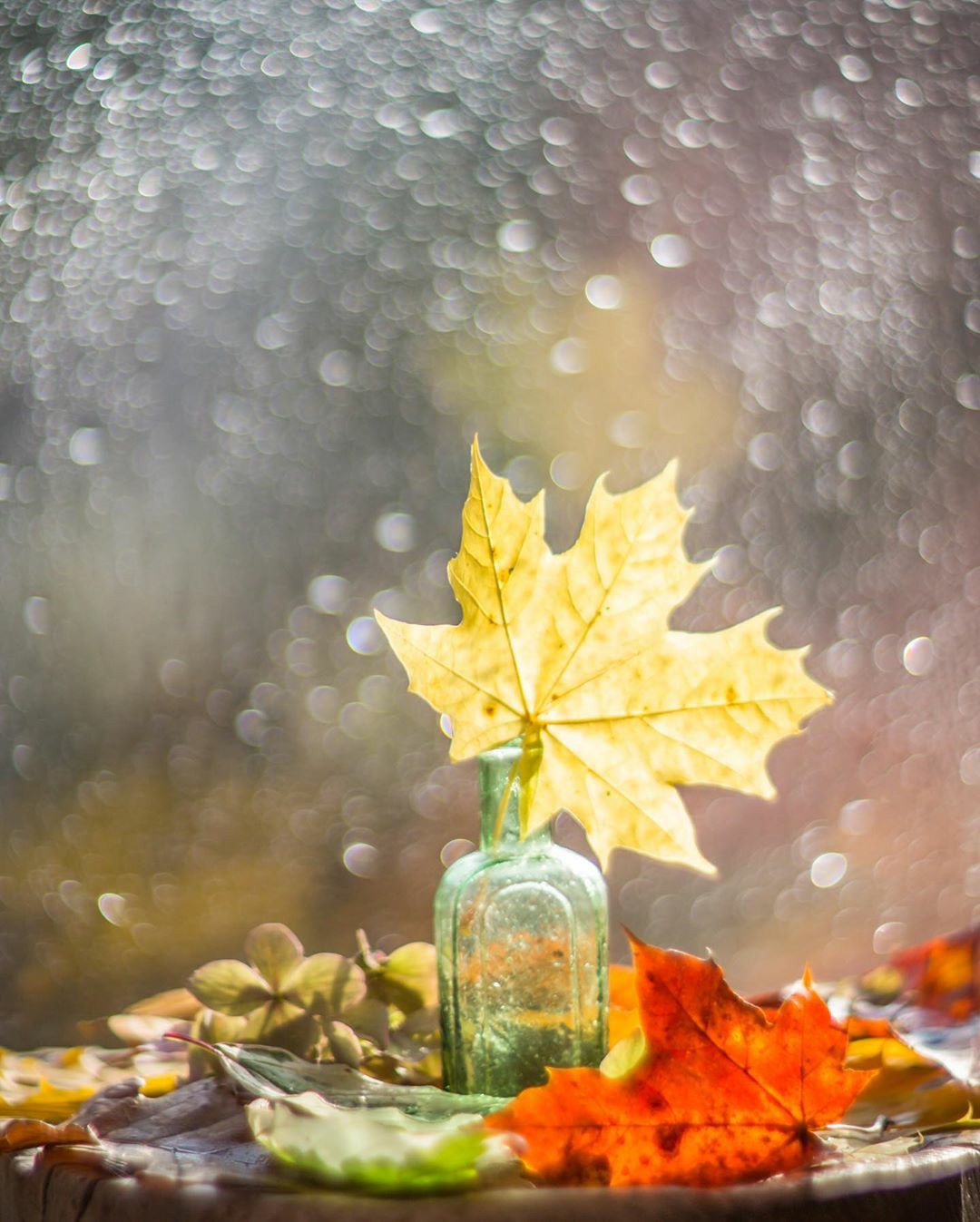 ���������