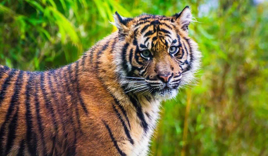 ���������