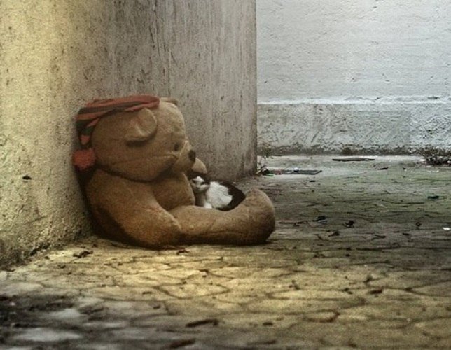 ���������