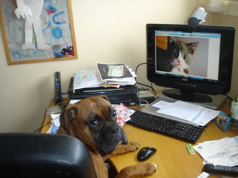 ���������