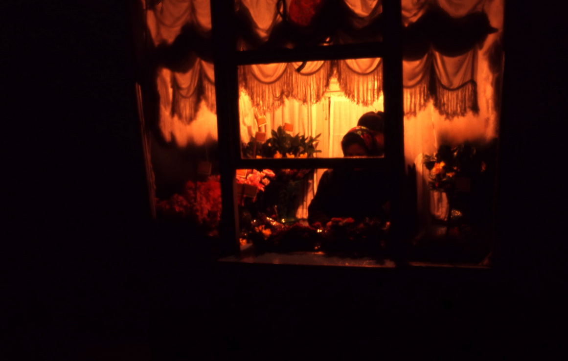 ���������