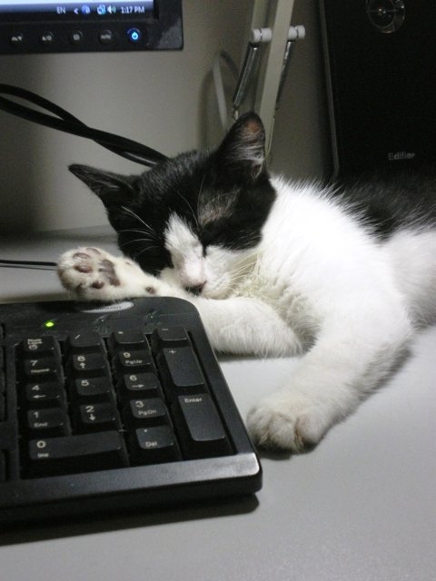 ���������