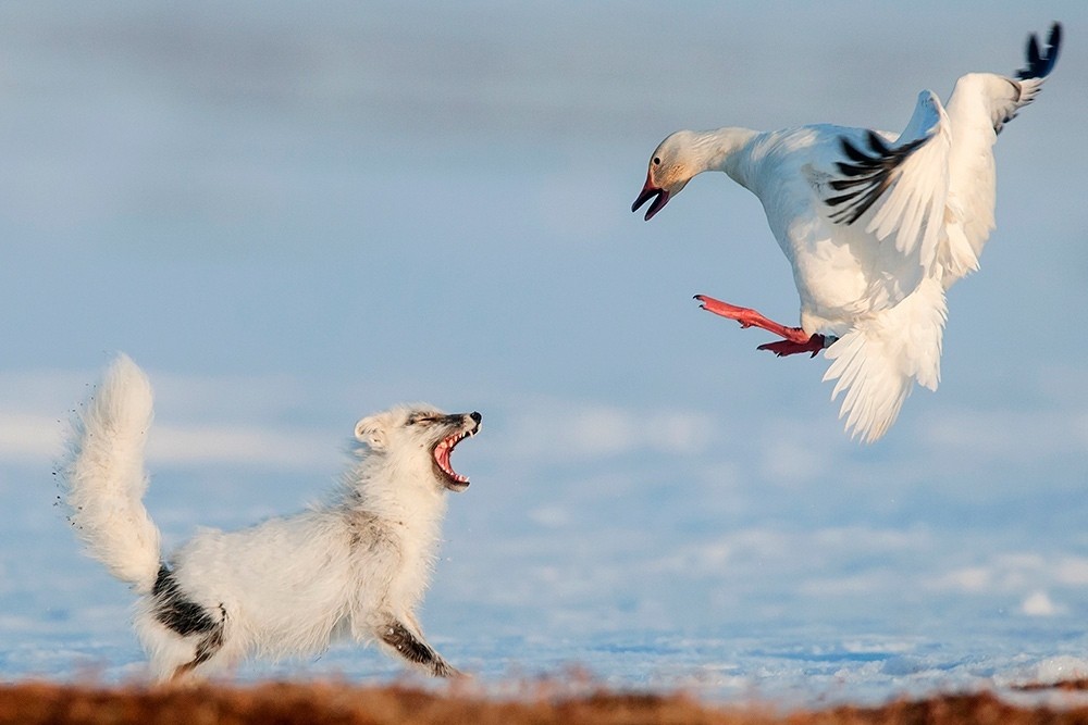 ���������