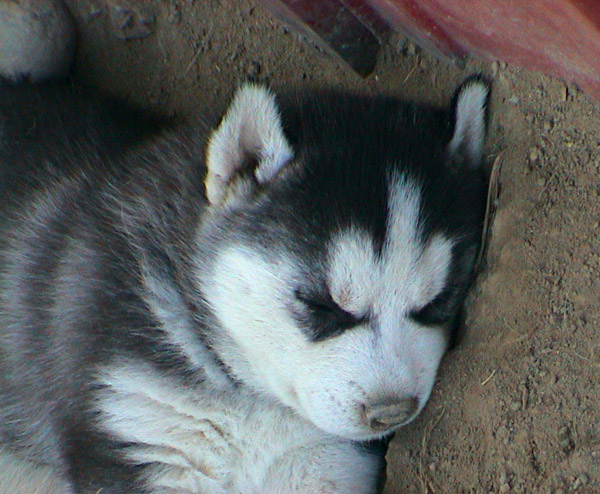 ���������