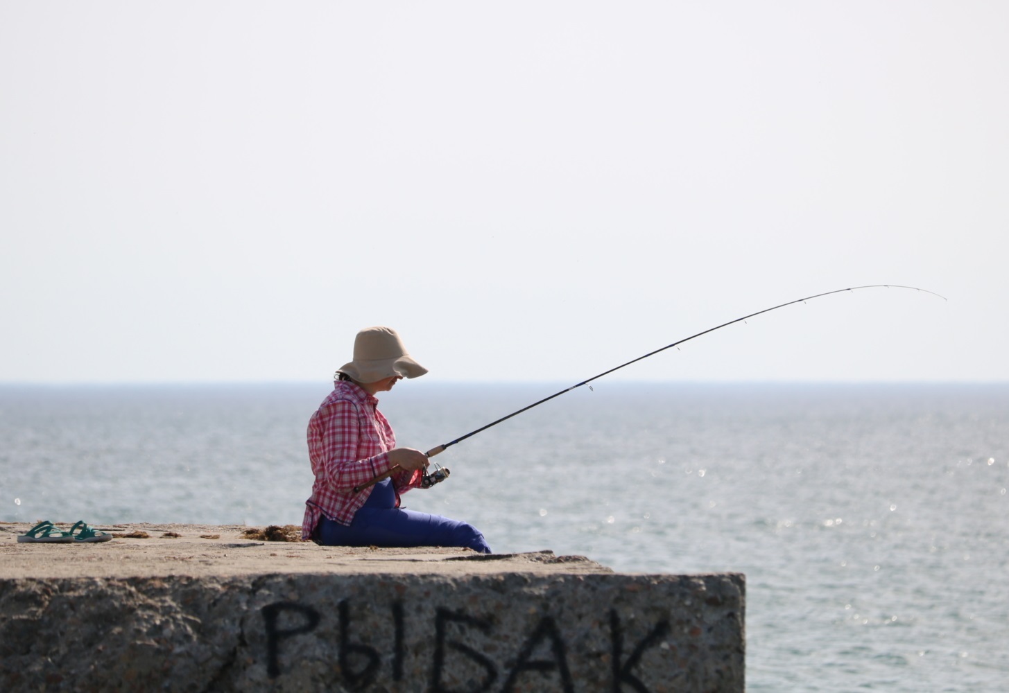 ���������